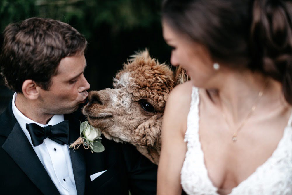 Guide pour des photos de mariage naturelles