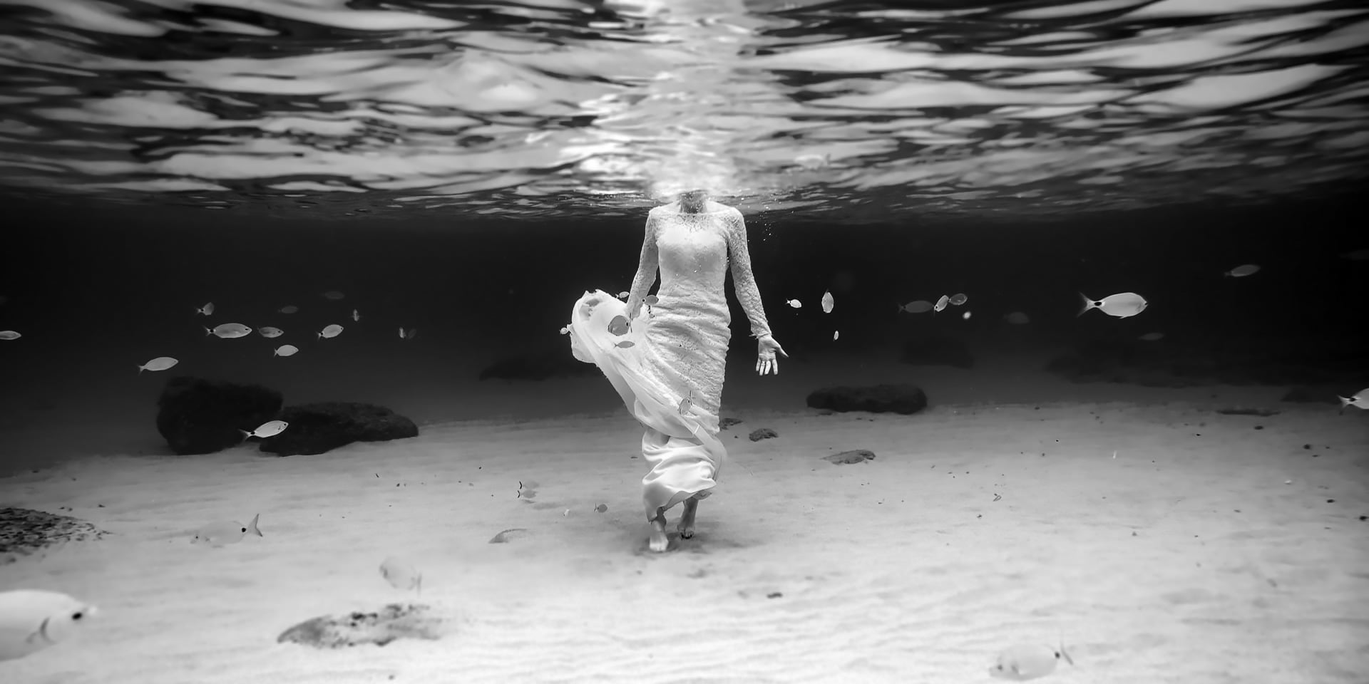 photo mariage Contact